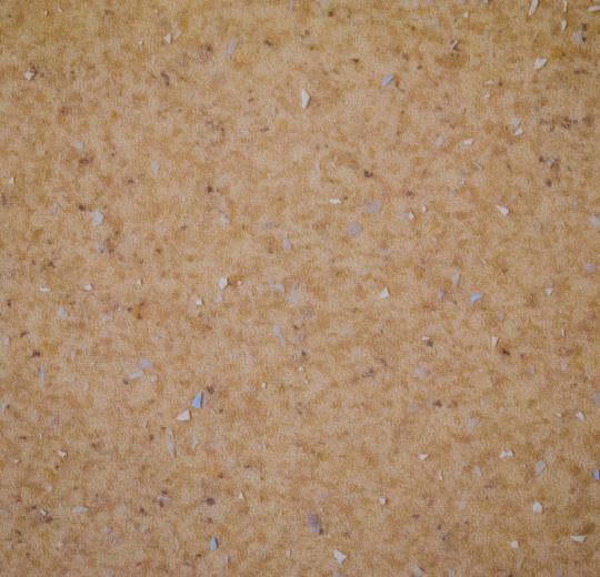 Линолеум Forbo Emerald Spectra 5534