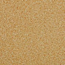 Линолеум LG Trendy Speckle TD12405